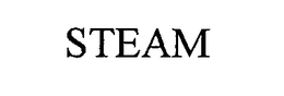 STEAM trademark