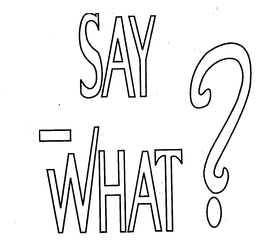 SAY WHAT? trademark