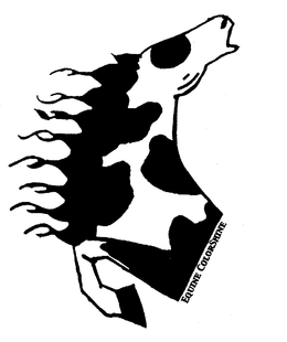 EQUINE COLORSHINE trademark