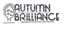 AUTUMN BRILLIANCE trademark
