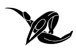 X trademark