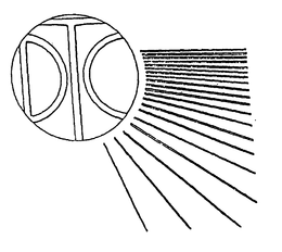 DTC trademark