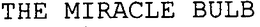 THE MIRACLE BULB trademark