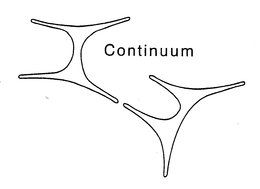 CONTINUUM trademark