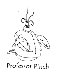 PROFESSOR PINCH trademark