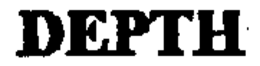 DEPTH trademark