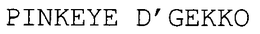 PINKEYE D'GEKKO trademark