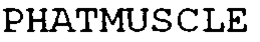 PHATMUSCLE trademark