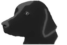 BLACK LAB trademark