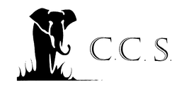C.C.S. trademark