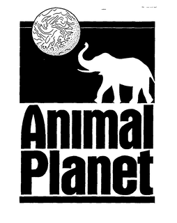 ANIMAL PLANET trademark