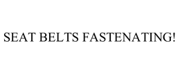 SEAT BELTS FASTENATING! trademark