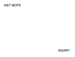 SQUIRT trademark