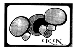 KN trademark