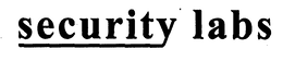 SECURITY LABS trademark