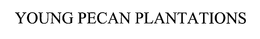 YOUNG PECAN PLANTATIONS trademark