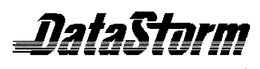 DATASTORM trademark