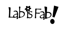 LAB IS FAB! trademark