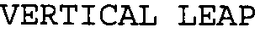 VERTICAL LEAP trademark