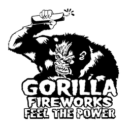 GORILLA FIREWORKS FEEL THE POWER trademark