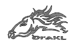 QRAKL trademark
