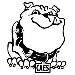 CAES trademark