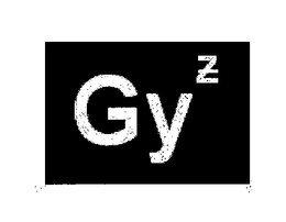 GYZ trademark