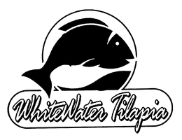WHITEWATER TILAPIA trademark