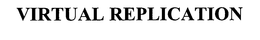 VIRTUAL REPLICATION trademark