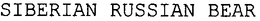 SIBERIAN RUSSIAN BEAR trademark