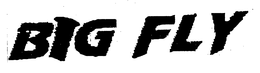 BIG FLY trademark