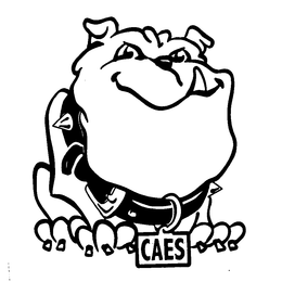 CAES trademark