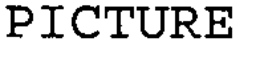PICTURE trademark