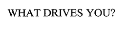 WHAT DRIVES YOU? trademark