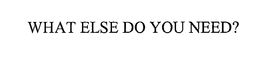 WHAT ELSE DO YOU NEED? trademark
