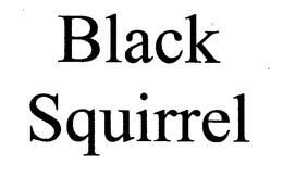 BLACK SQUIRREL trademark