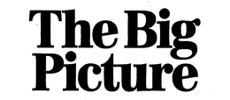 THE BIG PICTURE trademark
