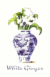 WHITE GINGER trademark