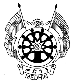 MEDHIN trademark