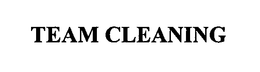 TEAM CLEANING trademark