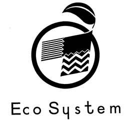 ECO SYSTEM trademark