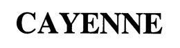 CAYENNE trademark