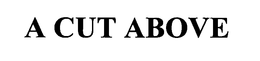 A CUT ABOVE trademark