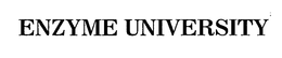 ENZYME UNIVERSITY trademark