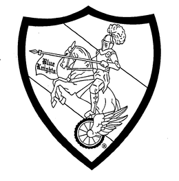 BLUE KNIGHTS. trademark