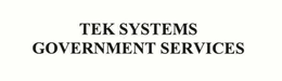 TEK SYSTEMS GOVERNMENT SERVICES trademark