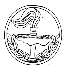 RACE TORCH trademark