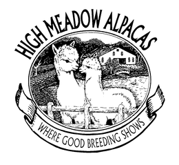 HIGH MEADOW ALPACAS WHERE GOOD BREEDING SHOWS trademark