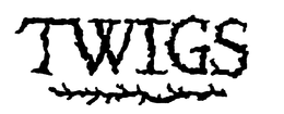 TWIGS trademark