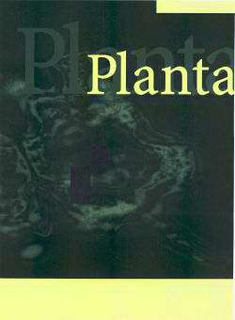 PLANTA trademark
